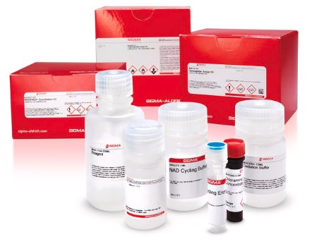 Adipogenesis Kit sufficient for 100 colorimetric or fluorometric tests 